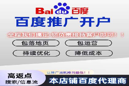 竞价推广中的着陆页策略：成功案例解读